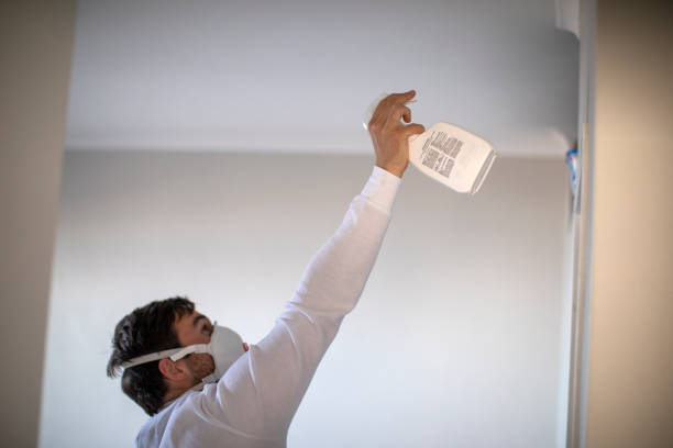 Best Office Mold Removal Services  in Chouteau, OK
