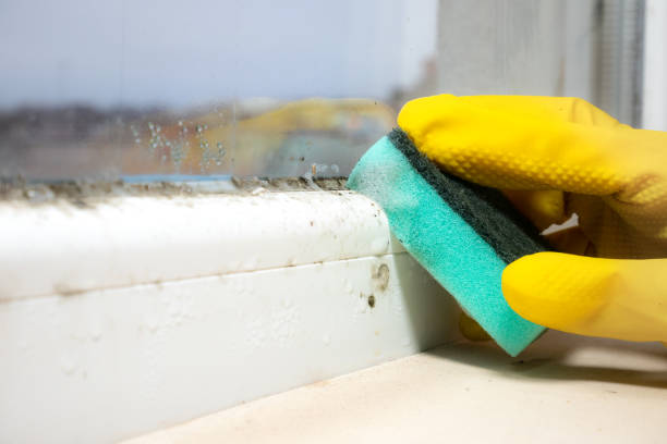 Best Mold Removal Process  in Chouteau, OK