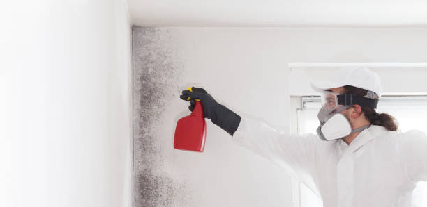  Chouteau, OK Mold Removal Pros